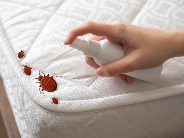 Best Pest Control Treatment  in Gruetli Laager, TN