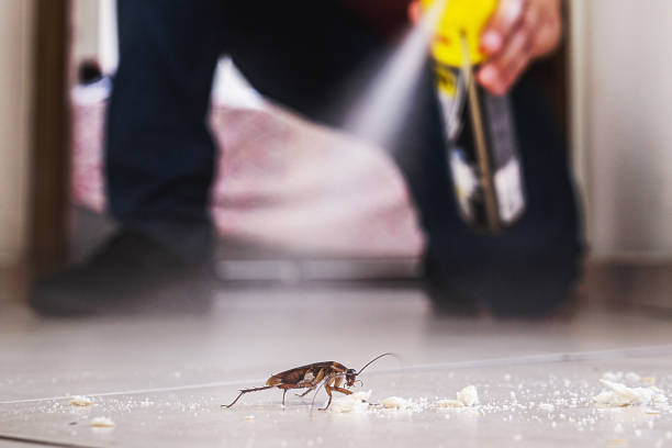 Best Emergency Pest Control  in Gruetli Laager, TN